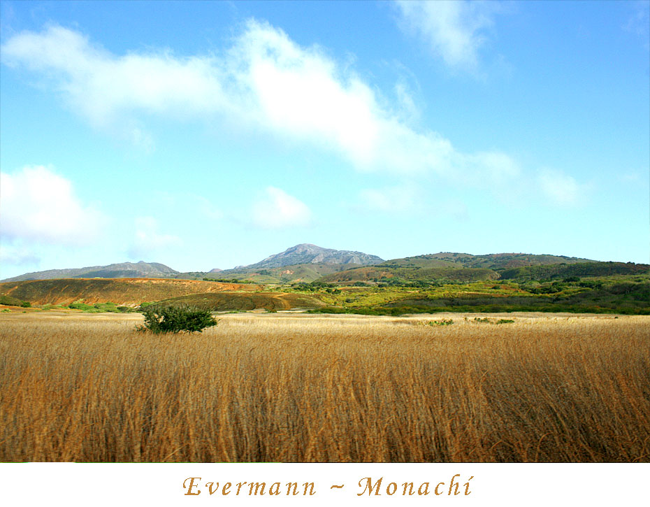 evermann-monachi