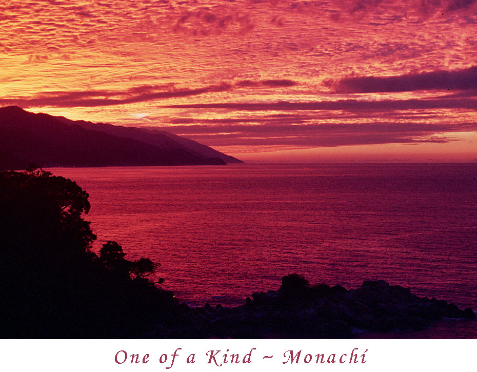 one-of-a-kind-monachi