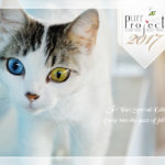 Cover - 2017 PuRR Project calendar design by Griffin Graffix