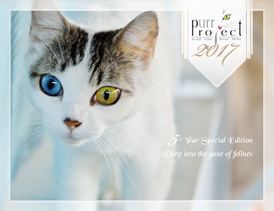 Cover - 2017 PuRR Project calendar design by Griffin Graffix