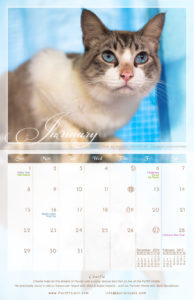 January - 2017 PuRR Project calendar design by Griffin Graffix