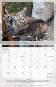 November - 2017 PuRR Project calendar design by Griffin Graffix