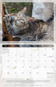 November - 2017 PuRR Project calendar design by Griffin Graffix