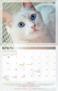 December - 2017 PuRR Project calendar design by Griffin Graffix