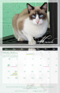 March - 2017 PuRR Project calendar design by Griffin Graffix