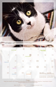 May - 2017 PuRR Project calendar design by Griffin Graffix