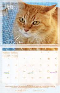 June - 2017 PuRR Project calendar design by Griffin Graffix