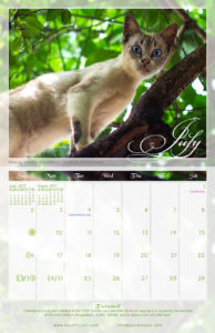 July - 2017 PuRR Project calendar design by Griffin Graffix